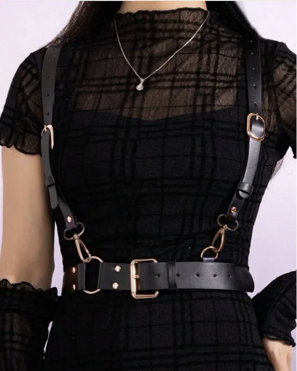 Harness