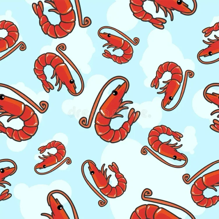 Useless Shrimpy 🍤 🤏 