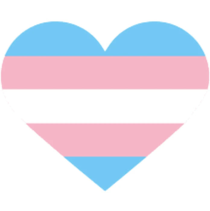 Transgender medical care