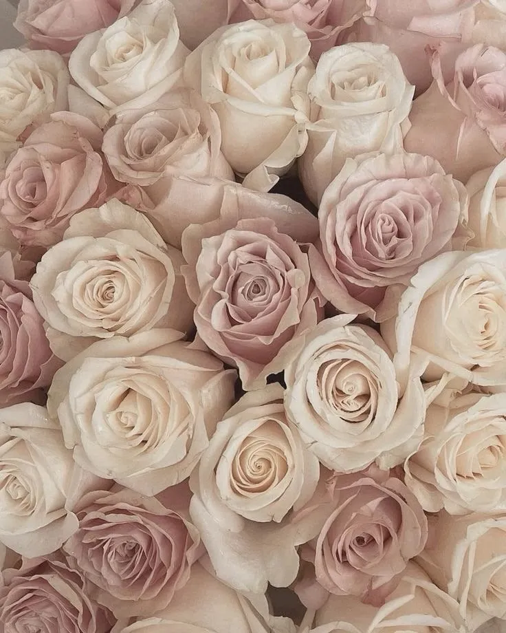 flowers ~