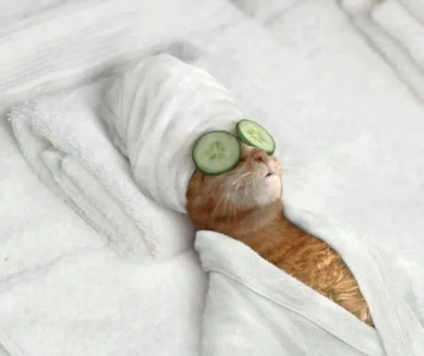 spa day