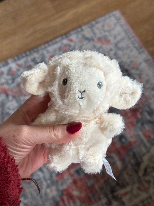 Cutest lamb 