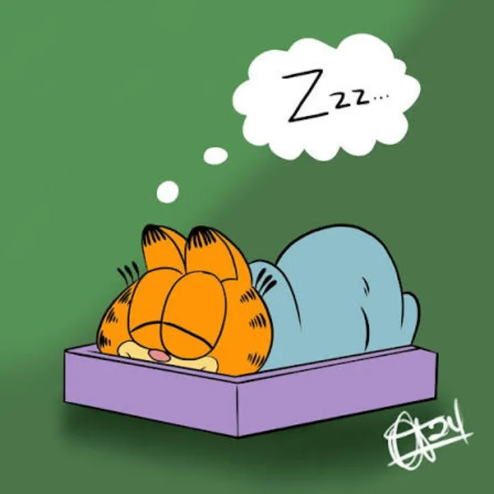 King Size Mattress