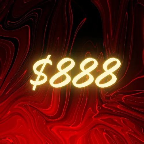 $888 rings