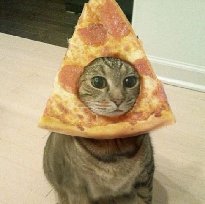 Pizzaaaa para Misa Miau