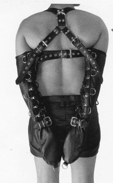 Delux Double Sleeve Armbinder