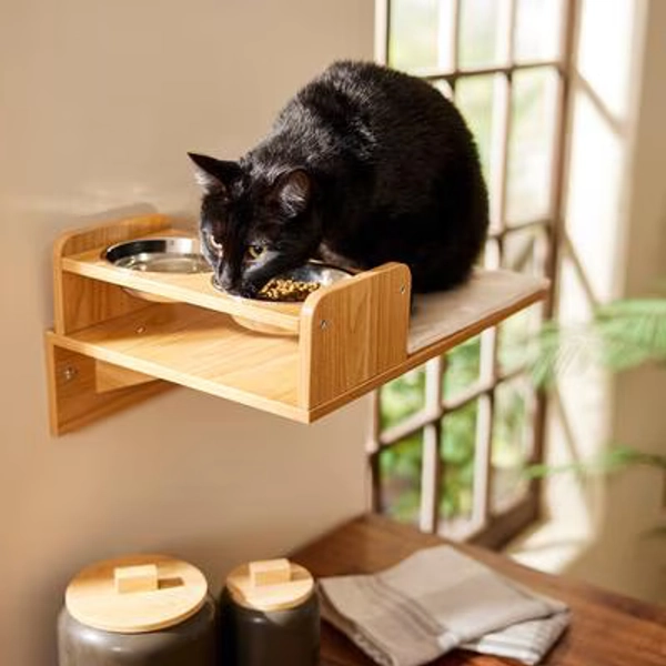 FRISCO Wall Mounted Cat Feeding Station with Stainless Steel Bowls - Chewy.com