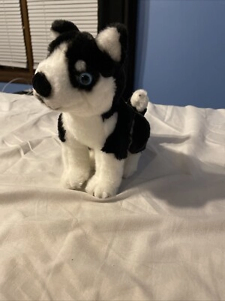 Disney Snow Buddies Shasta 7" Plush Movie Rewards Exclusive Sled Dog Husky 2008 | eBay