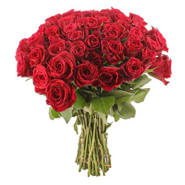 BOUQUET DE 50 ROSES ROUGES
