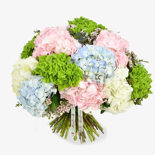 Heavenly Hydrangea delux bouquet 
