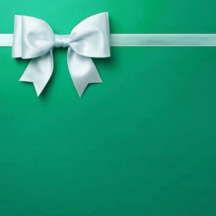 Surprise Christmas Gift 🎁 