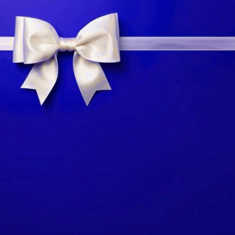 Surprise Christmas Gift 🎁 