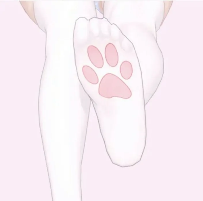 Medias de huellita de gatito🌸