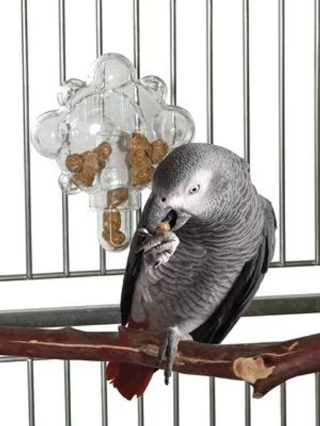 CAITEC Featherland Paradise Food Tumbler Bird Toy - Chewy.com