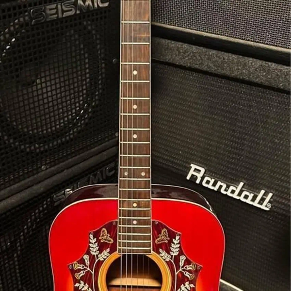 Used Castilla Hummingbird - Lawsuit Era Acoustic Guitar