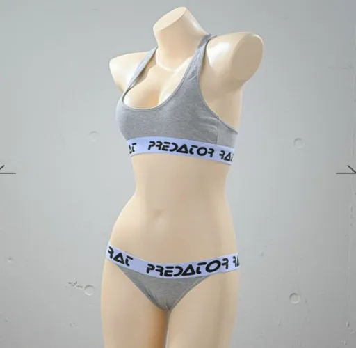 プレデターラットスタイルロゴスポーツブラ＆プレデターラットスタイルロゴスポーツTバックパンツ〈グレー〉セット