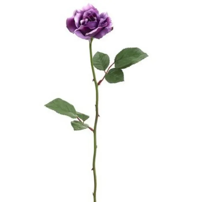 Buy B.J. a Long-stemmed Purple Rose