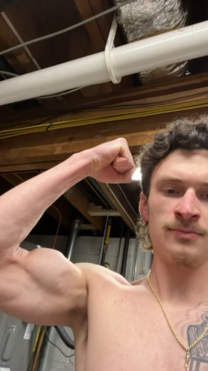 Superior alpha male tax