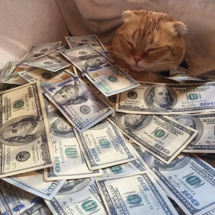 tip (1000)