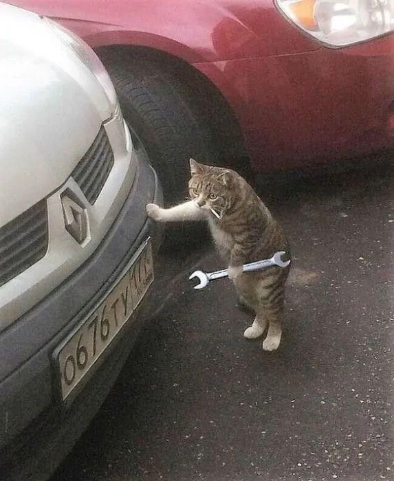 fix my car