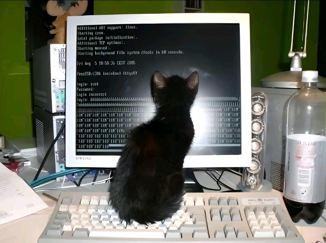 laptop🫧