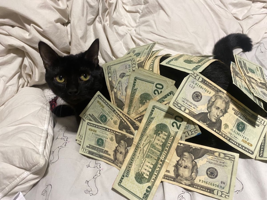 tip (500)