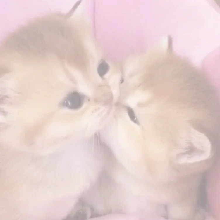 kiss me