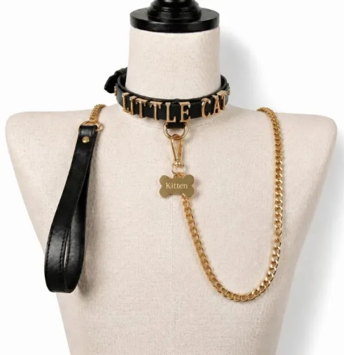 Collar + leash custom black and silver