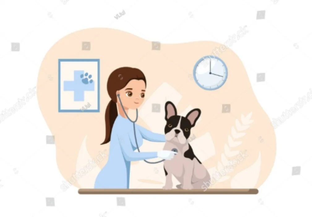 Vet Visit  🐶