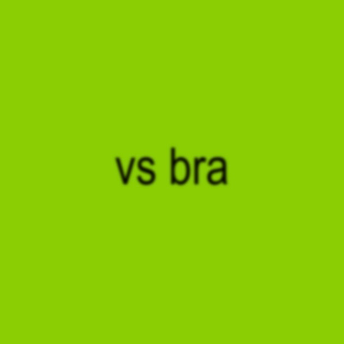 vs bra hehe