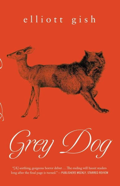 Grey Dog Paperback