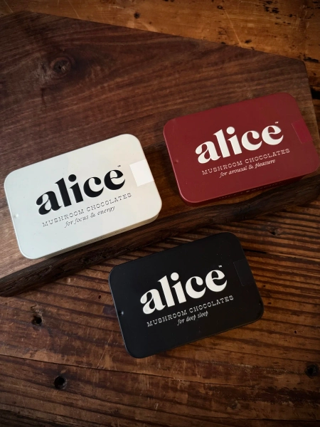 Mushroom Chocolates — Alice