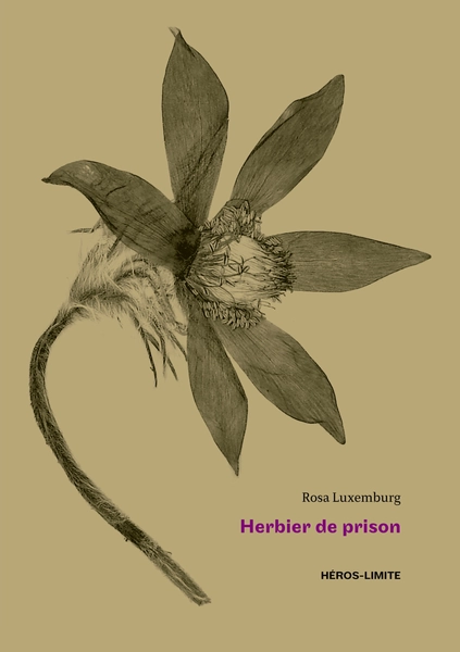 Herbier de prison