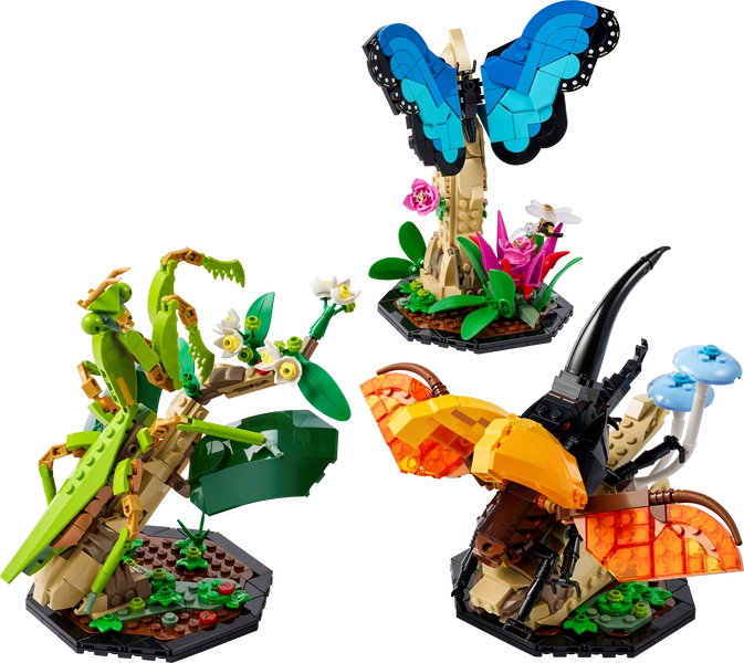 The Insect Collection