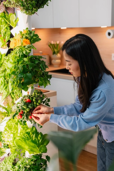 Dein Indoor-Garten für frisches Gemüse | Everleaf Garden