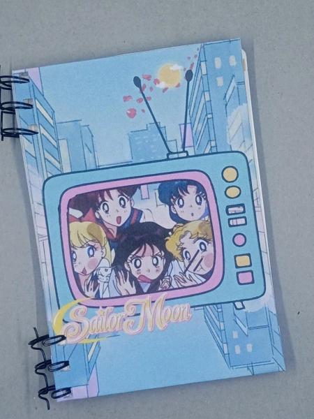 Sailor Moon: Anime Planner with Stickers