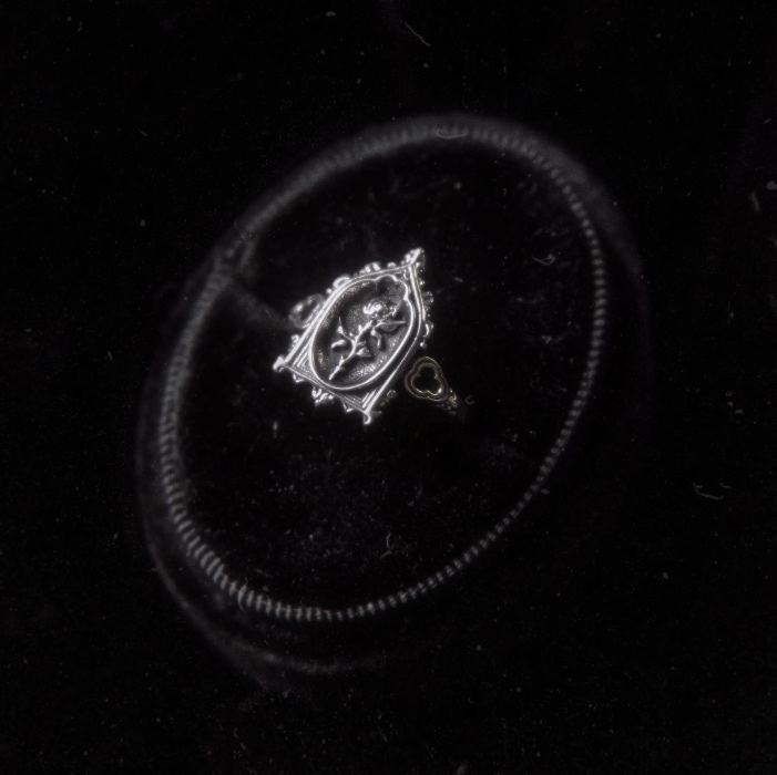 The "Lenore's Tomb” Curio Ring | Silver