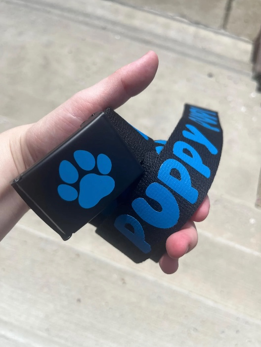 Puppy Fashion Belt