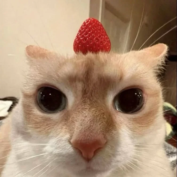 <3