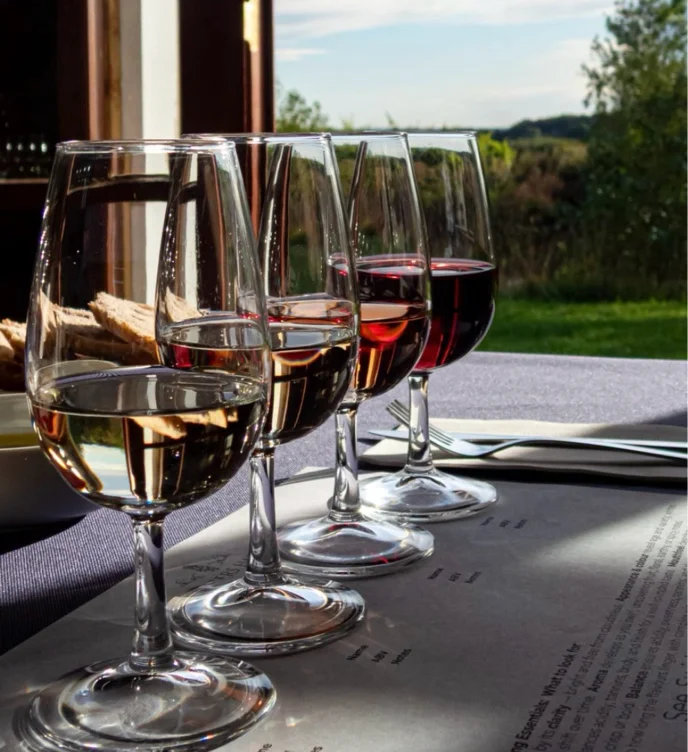 Private wine tasting 