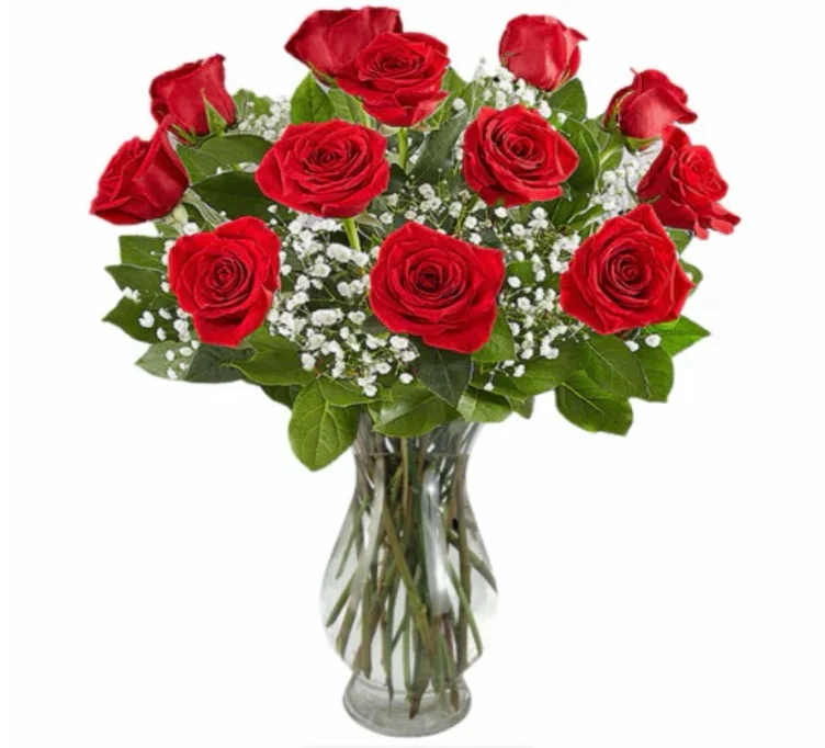 1 dozen red roses 