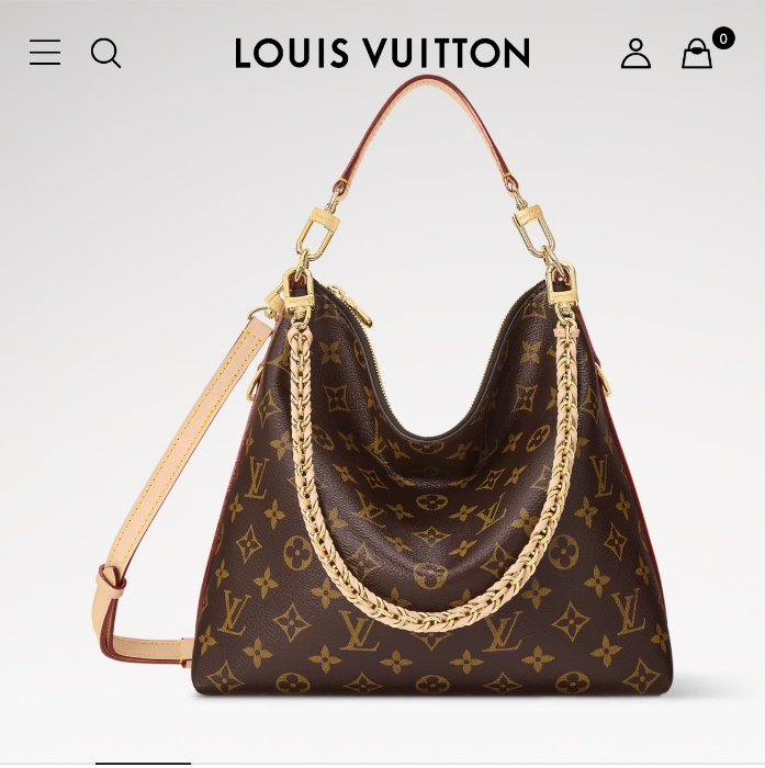 LV Purse 