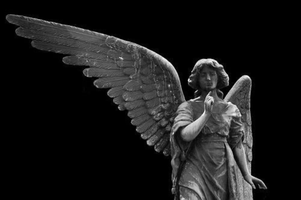 angel🪽