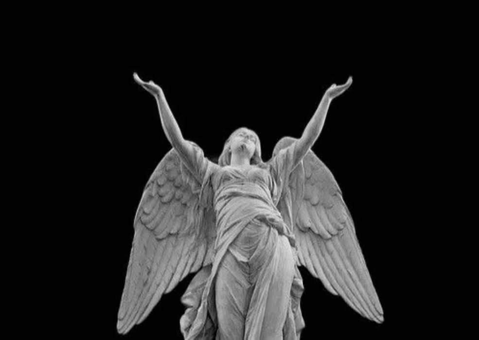angel🪽