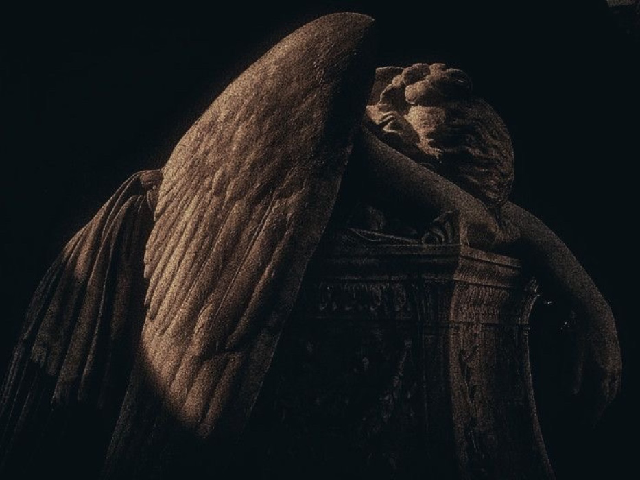 angel🪽