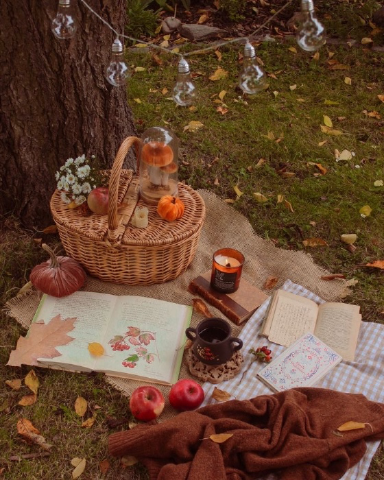 picnic date ♡