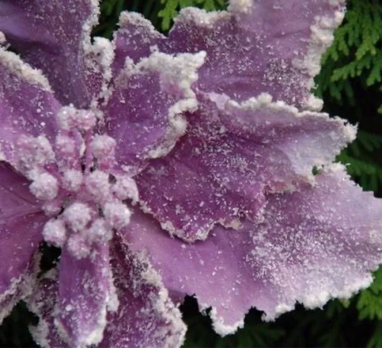 Bath & Body Works $50 Gift Card