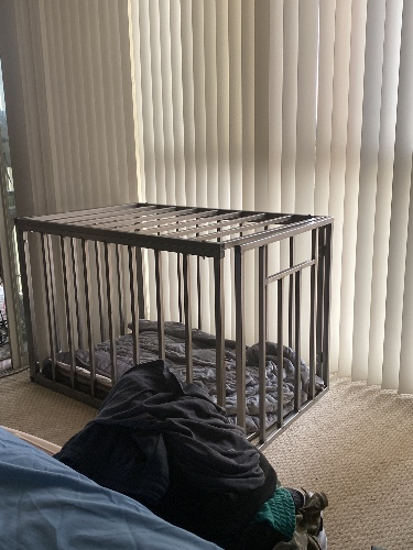 Birthday package #3 (cucked)