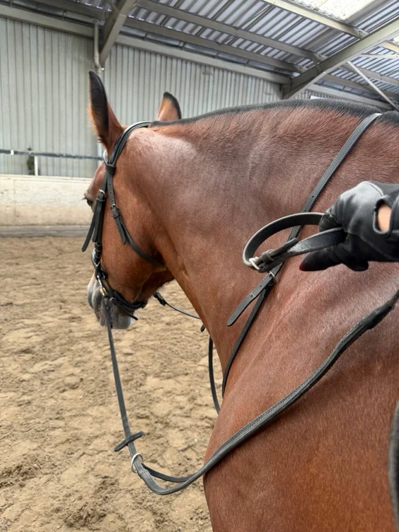 Morning Hack in the Woods 