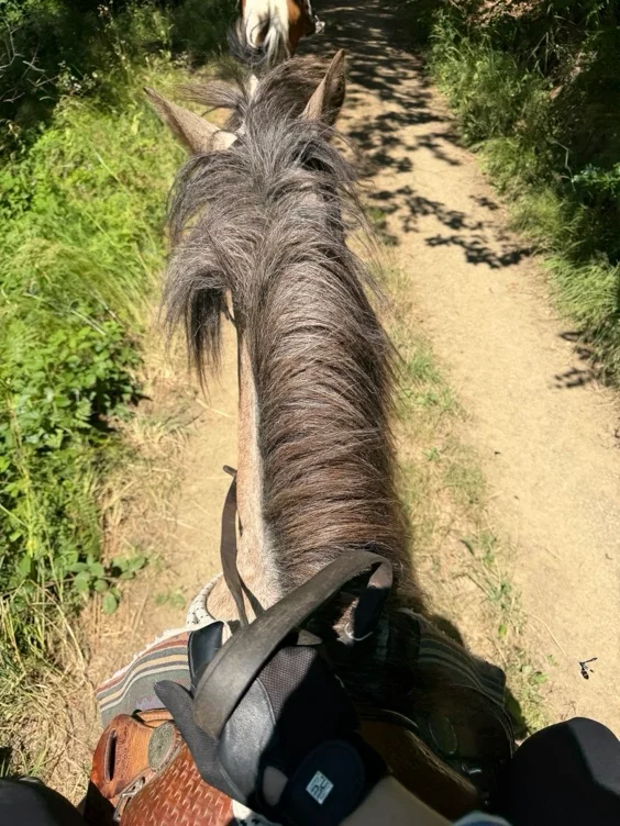 Morning Hack in the Woods 